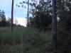 Watson Rd 4