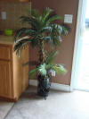 Furniture.Decor Palm Tree
