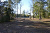Robinhood Ln back yard