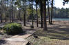 Robinhood Ln back water