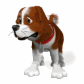 St Bernard Dog
